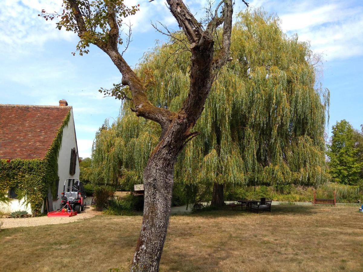 Domaine De La Richardelle Daire Courtenay  Dış mekan fotoğraf