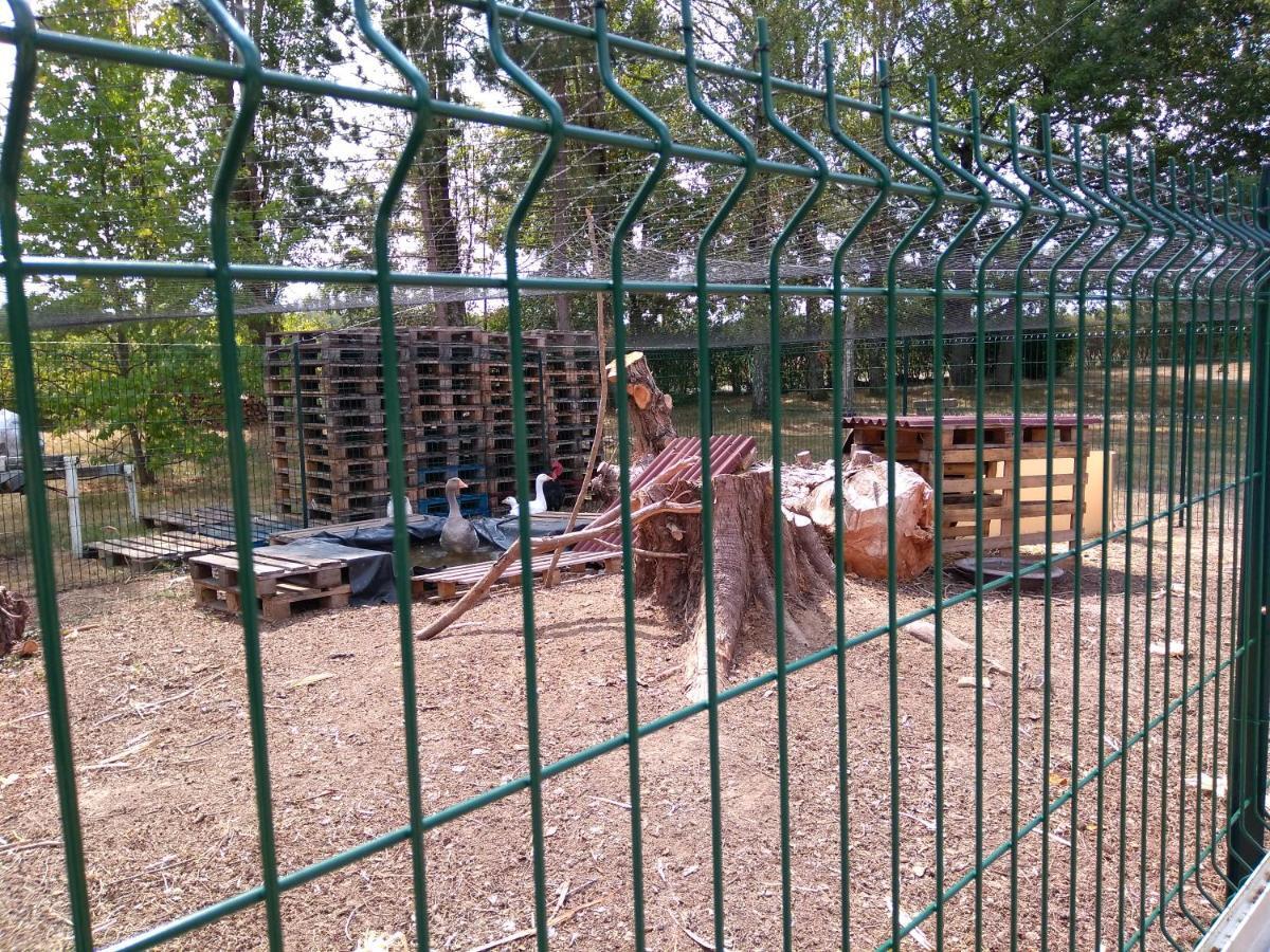 Domaine De La Richardelle Daire Courtenay  Dış mekan fotoğraf