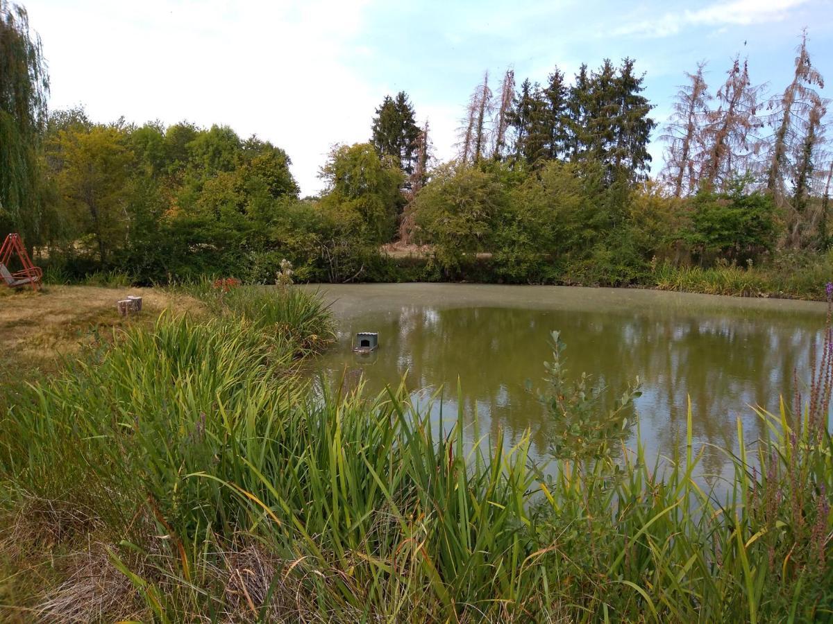 Domaine De La Richardelle Daire Courtenay  Dış mekan fotoğraf